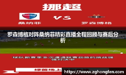 罗森博格对阵桑纳菲精彩直播全程回顾与赛后分析